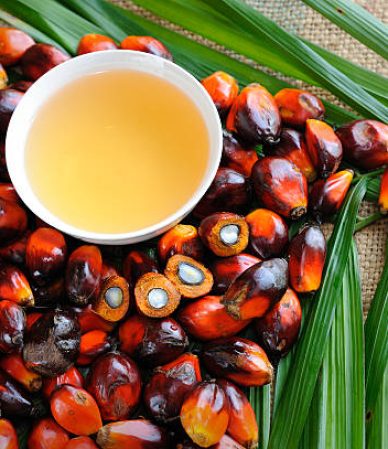 Close up of fresh oil palm fruits with cooking oil, selective focus.