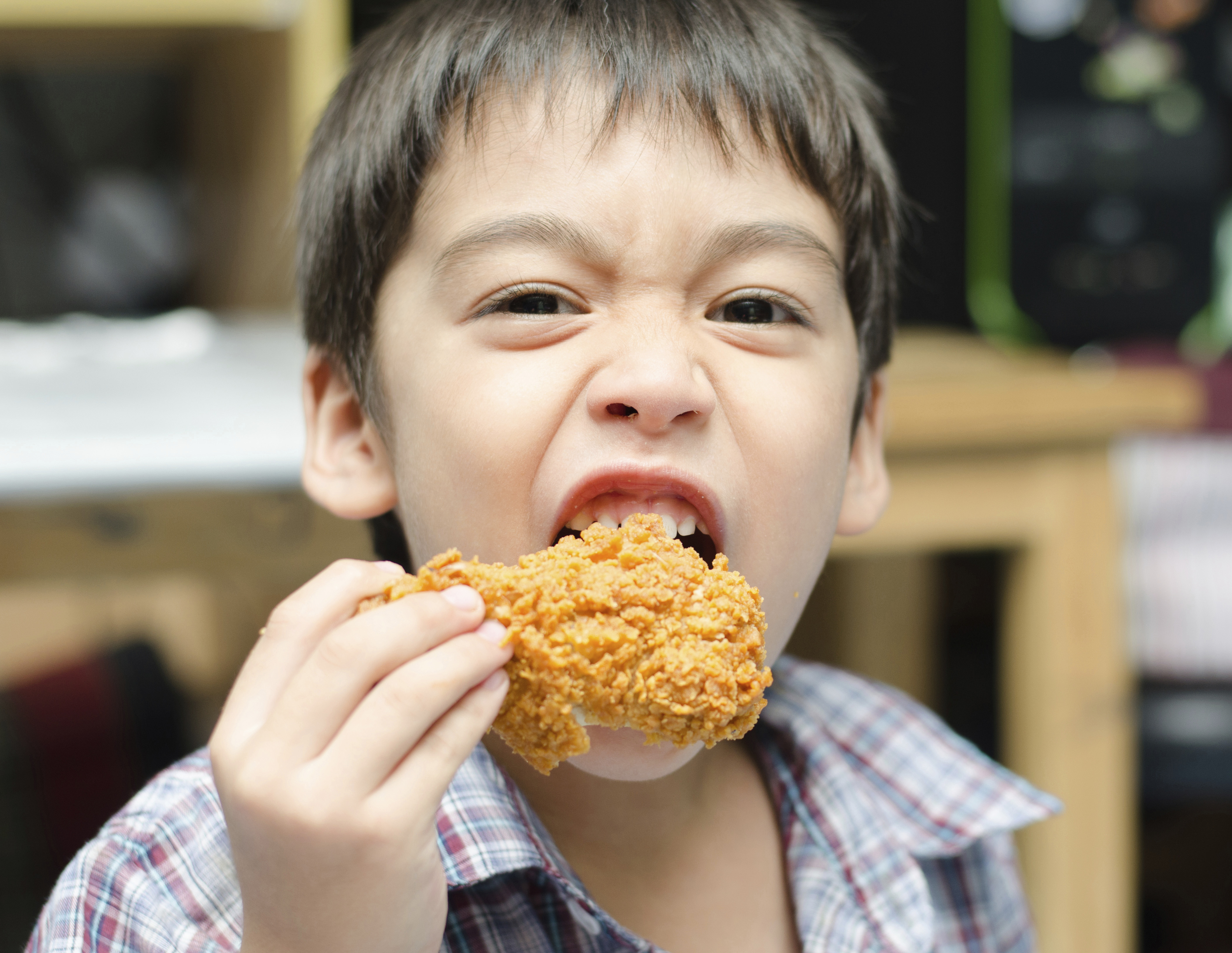Little boy eating fried chicken