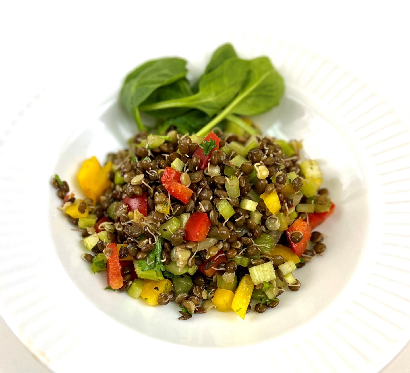 Organic Sprouted Lentil Salad