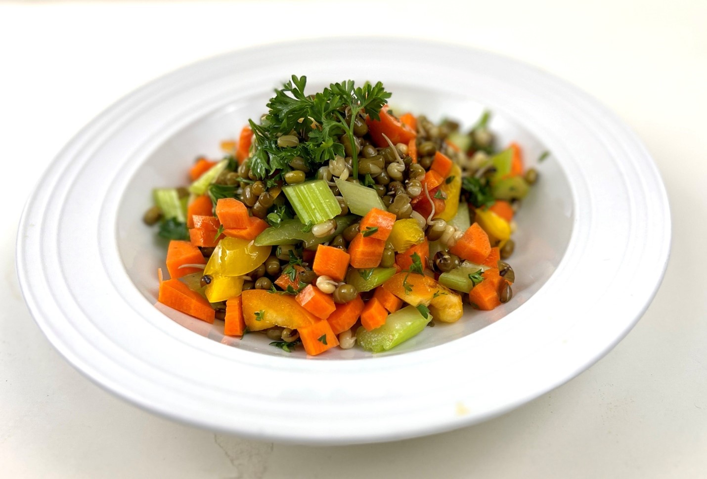 Organic Sprouted Mung Beans Salad