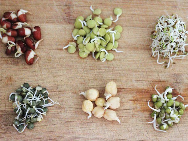 The nutritional benefits of sprouted legumes